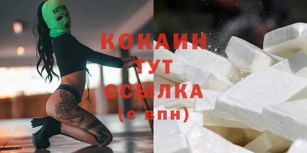 соль ск Алексин
