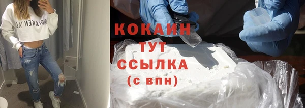 прущий лед Абаза