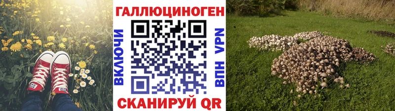 Псилоцибиновые грибы мицелий  ОМГ ОМГ   Скопин 