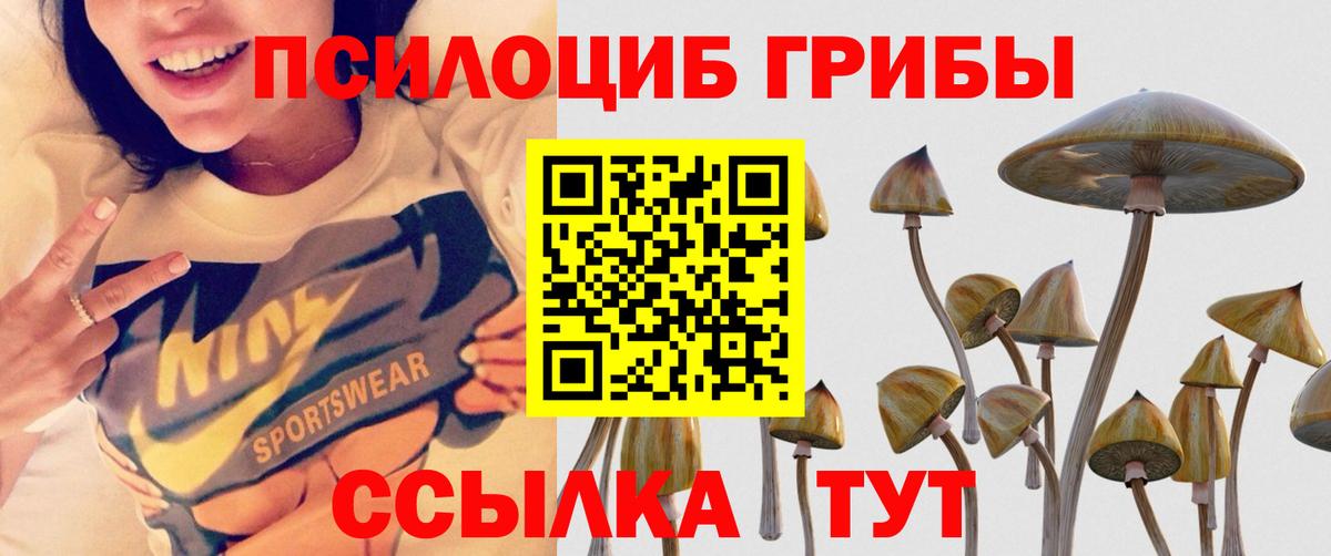 Скопин  Галлюциногенные грибы мухоморы  Вход с VPN 