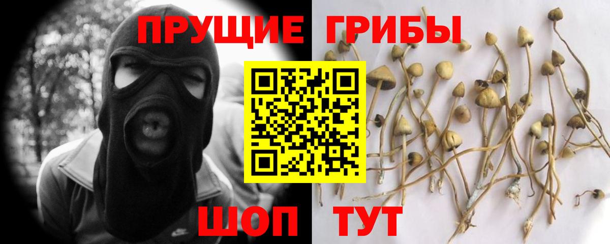Псилоцибиновые грибы ЛСД Скопин